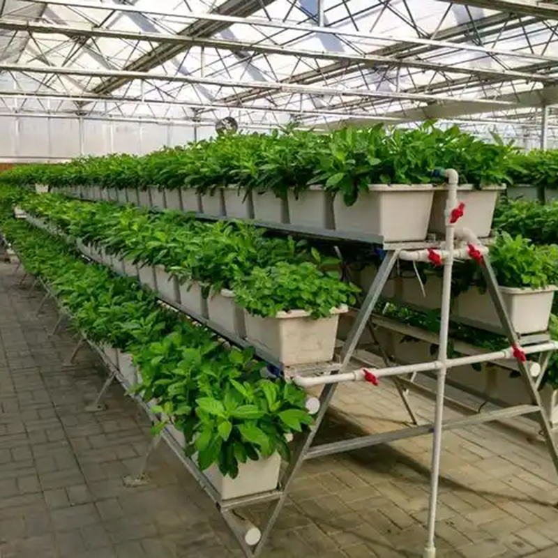 玉林市植物工厂鱼菜共生 - 价格