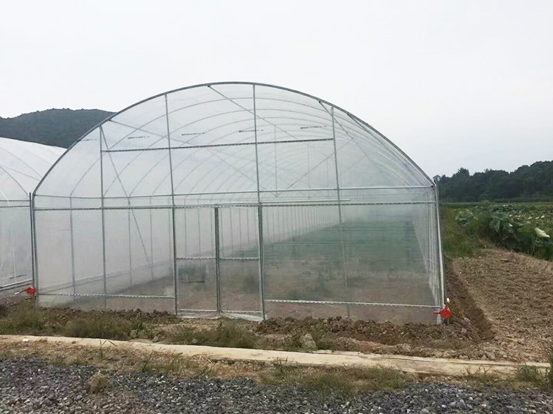 玉林市薄膜大棚空中草莓 - 价格